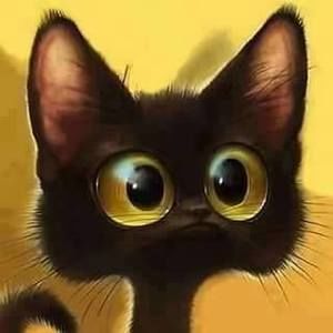 Meet your Posher, Sue